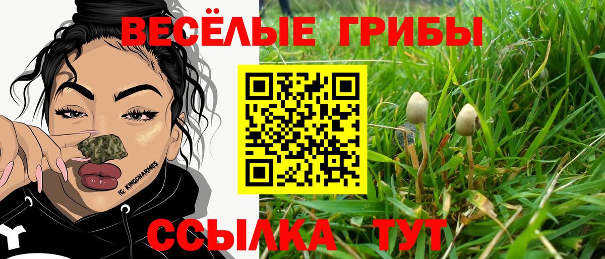Галлюциногенные грибы MAGIC MUSHROOMS  Псилоцибиновые грибы Psilocybe  Вход с VPN  Гай 